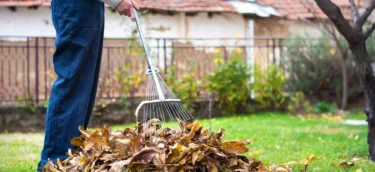 Yard-Cleanup-Cost
