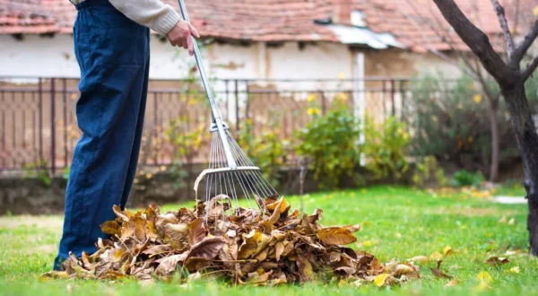 Yard-Cleanup-Cost Yard-Cleanup-Cost