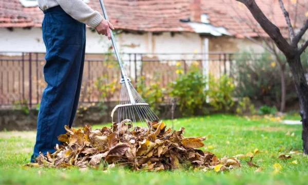 Yard-Cleanup-Cost